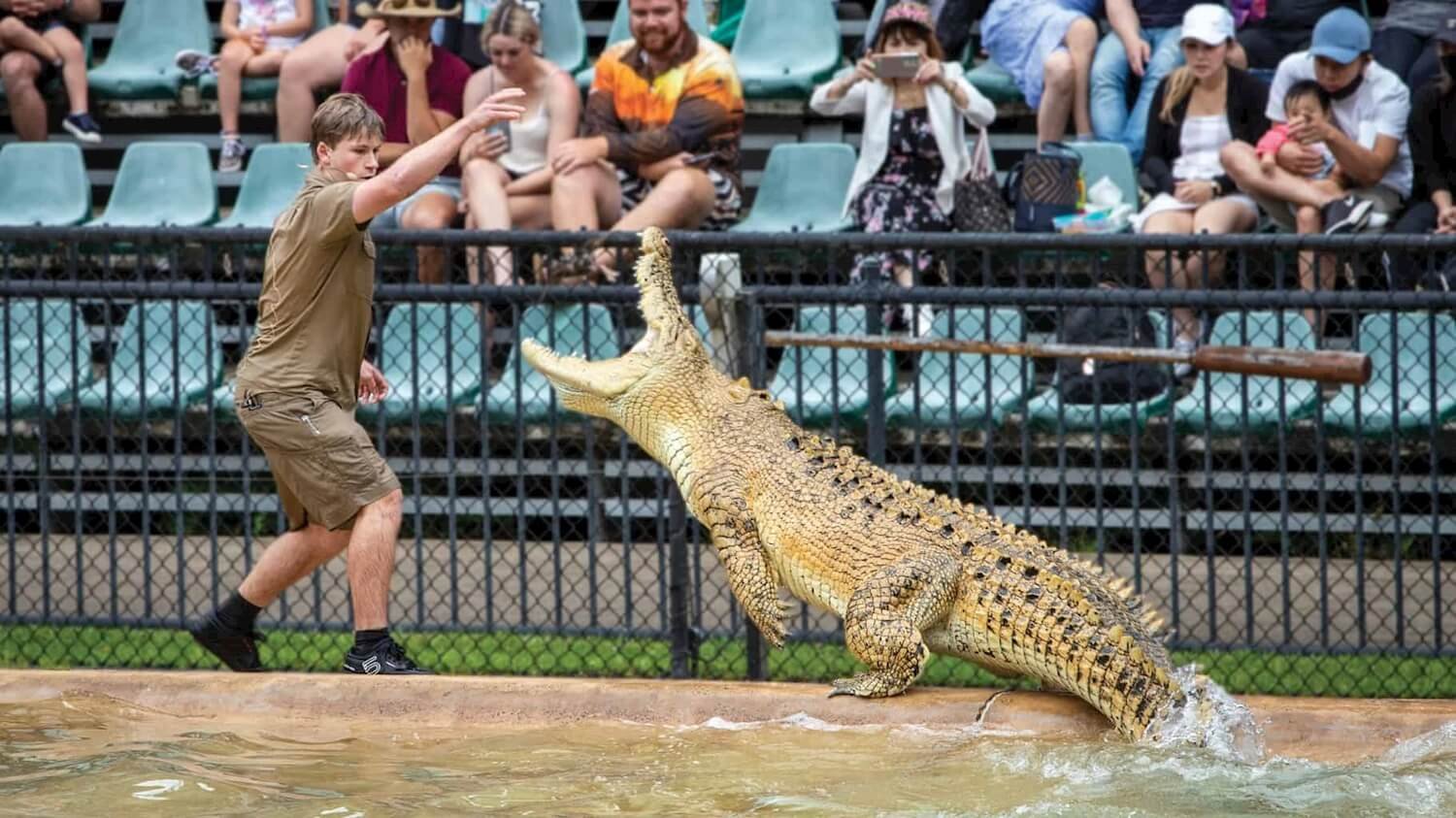 Australia Zoo Entry & Wildlife Hospital Sneak Peek Vibe Travel